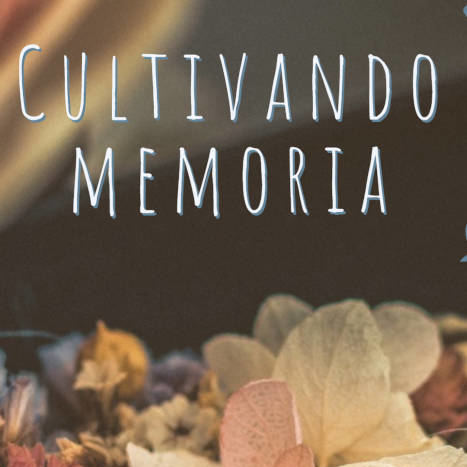cartel cultivando memoria mister vertigo teatro cuadrada
