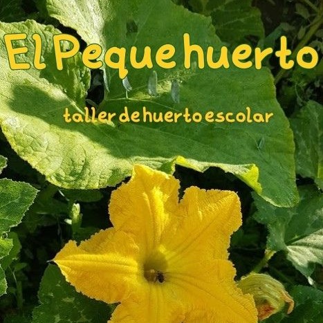 cartel taller de huerto escolar el peque huerto de mister vertigo teatro cuadrada