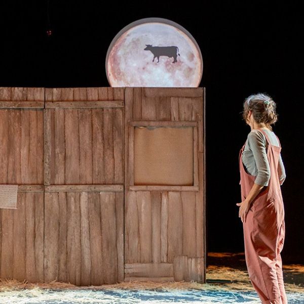 Asesor y director escénico para compañía de títeres, teatro y audivisuales