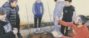 Talleres creativos. El peque huerto. Los garbanzos. Día mundial de las legumbres. Enseñando a cultivar garbanzos.