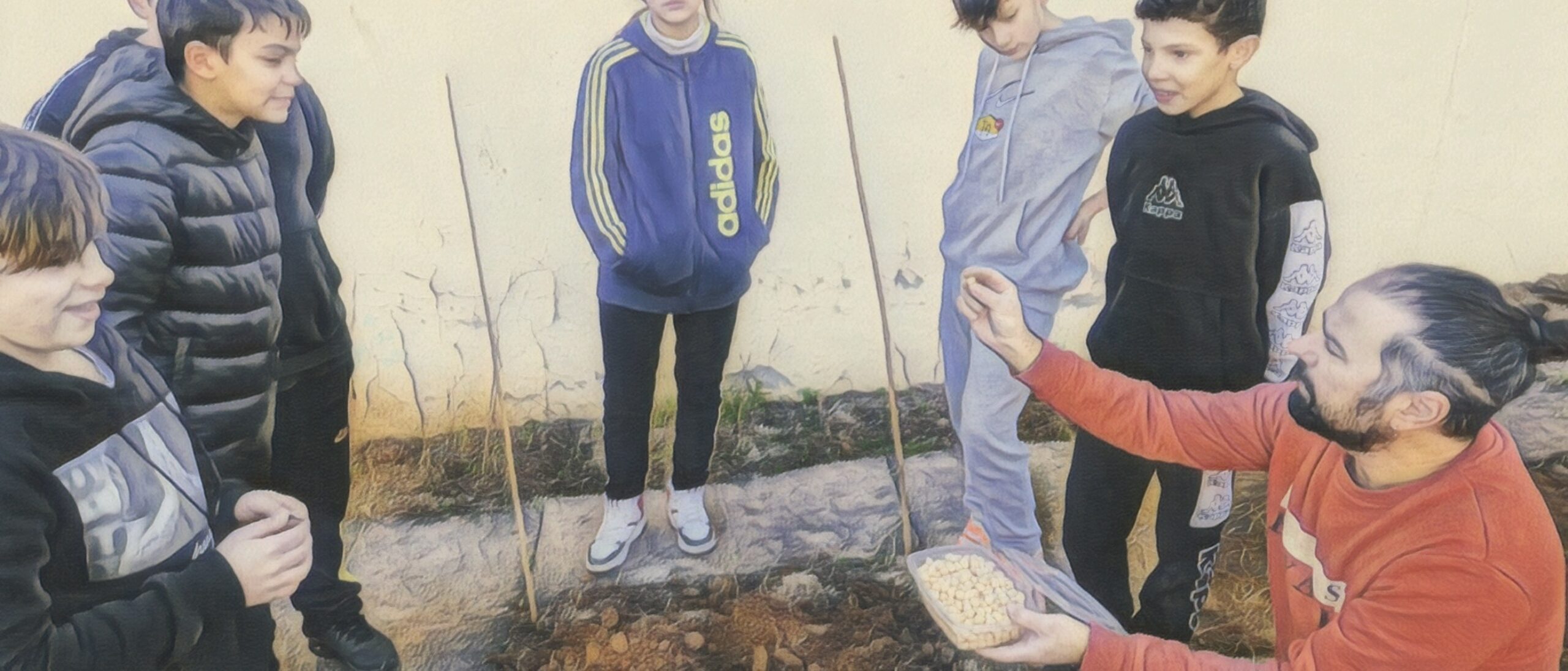 Talleres creativos. El peque huerto. Los garbanzos. Día mundial de las legumbres. Enseñando a cultivar garbanzos.